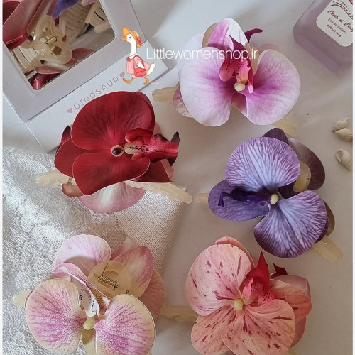 کلیپی گل ارکیده وارداتی